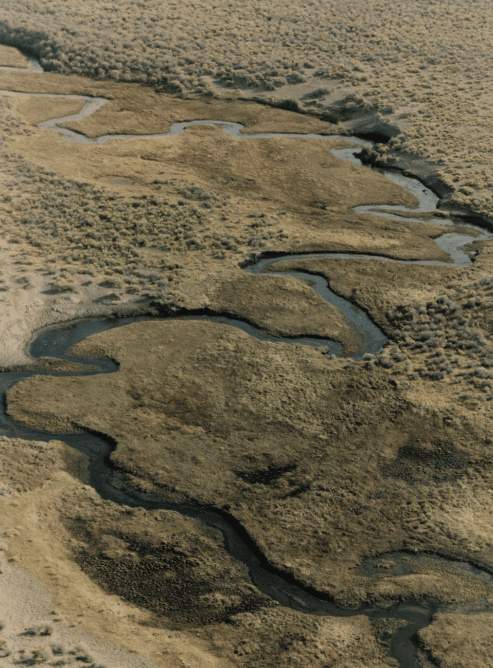 Screenshot 2024-09-19 at 6.48.54 AM